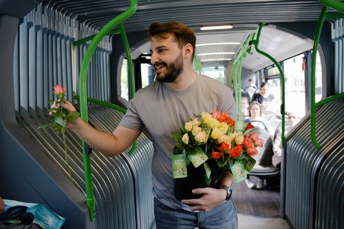 Infra-Fuerth-Blumen-3
