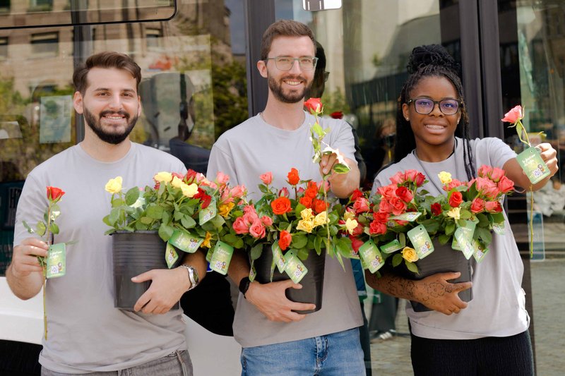 Infra-Fuerth-Blumen-6