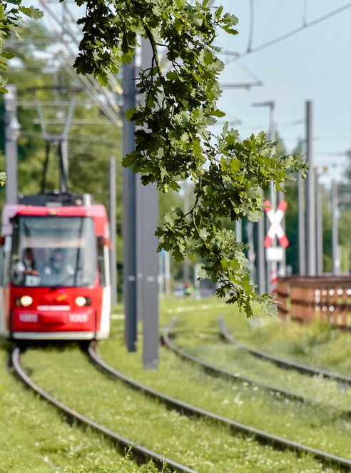 Vorplanung Stadt-Umland-Bahn | StUB